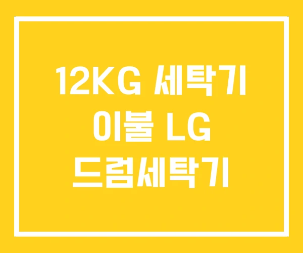 12KG 세탁기 이불 LG 드럼세탁기