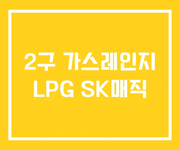 2구 가스레인지 LPG SK매직