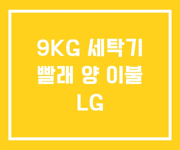 9KG 세탁기 빨래 양 이불 LG