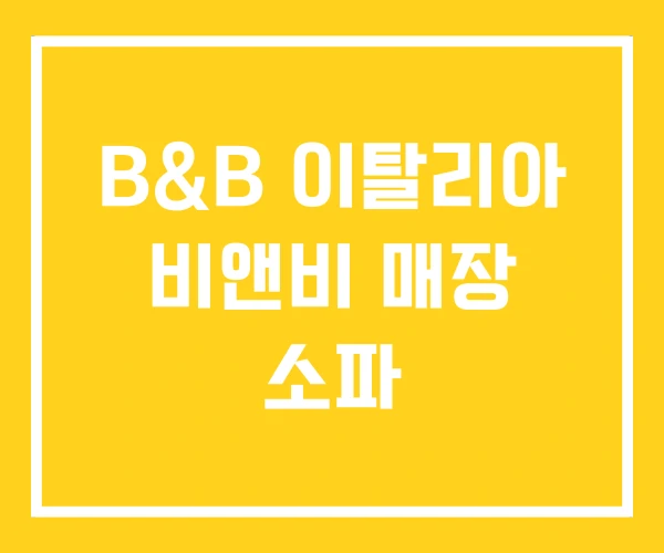 B&B 이탈리아 비앤비 매장 소파 B&B 이탈리아 비앤비 매장 소파