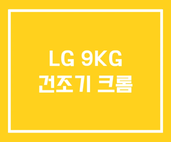 LG 9KG 건조기 크롬