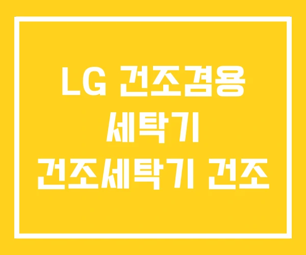 LG 건조겸용 세탁기 건조세탁기 건조 LG 건조겸용 세탁기 건조세탁기 건조