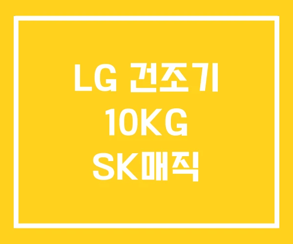LG 건조기 10KG SK매직