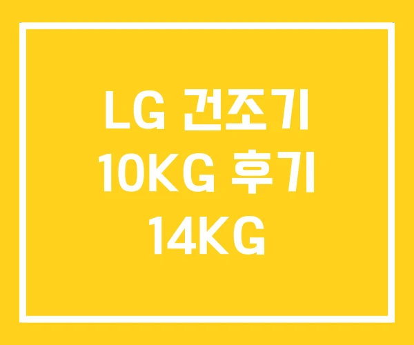 LG 건조기 10KG 후기 14KG LG 건조기 10KG 후기 14KG