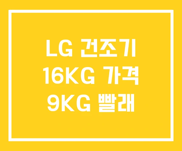 LG 건조기 16KG 가격 9KG 빨래 LG 건조기 16KG 가격 9KG 빨래