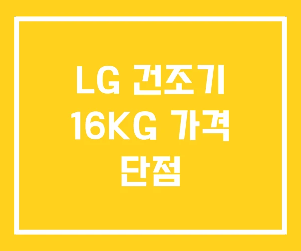 LG 건조기 16KG 가격 단점
