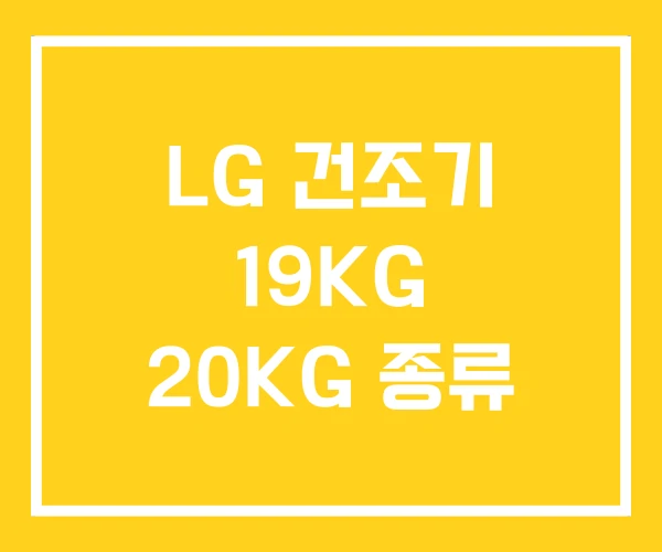 LG 건조기 19KG 20KG 종류