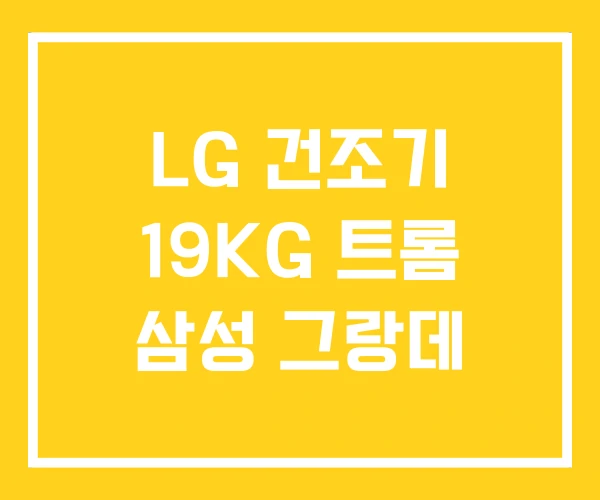 LG 건조기 19KG 트롬 삼성 그랑데