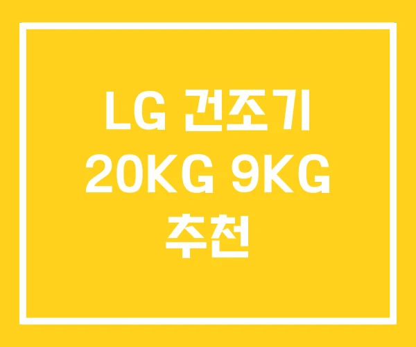 LG 건조기 20KG 9KG 추천