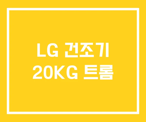 LG 건조기 20KG 트롬