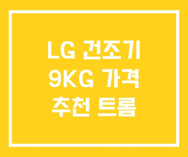 LG 건조기 9KG 가격 추천 트롬 LG 건조기 9KG 가격 추천 트롬