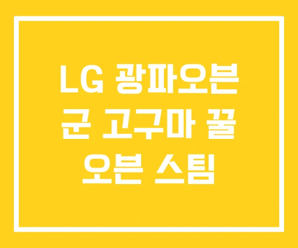LG 광파오븐 군 고구마 꿀 오븐 스팀 LG 광파오븐 군 고구마 꿀 오븐 스팀