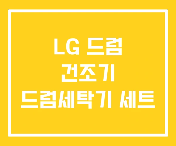 LG 드럼 건조기 드럼세탁기 세트