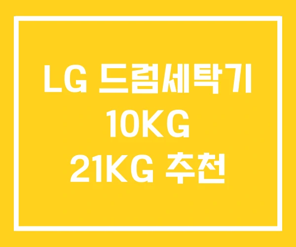 LG 드럼세탁기 10KG 21KG 추천 LG 드럼세탁기 10KG 21KG 추천