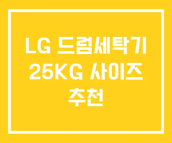 LG 드럼세탁기 25KG 사이즈 추천