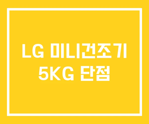 LG 미니건조기 5KG 단점