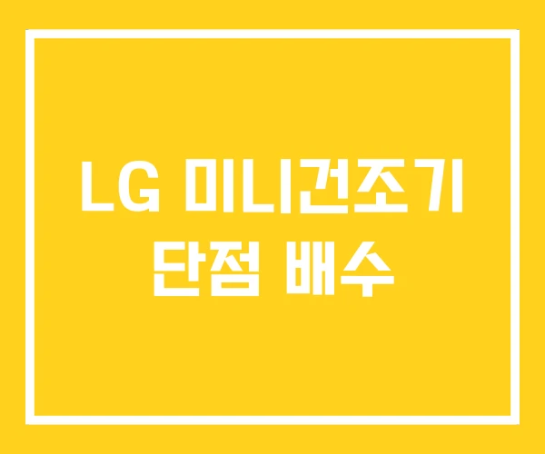 LG 미니건조기 단점 배수