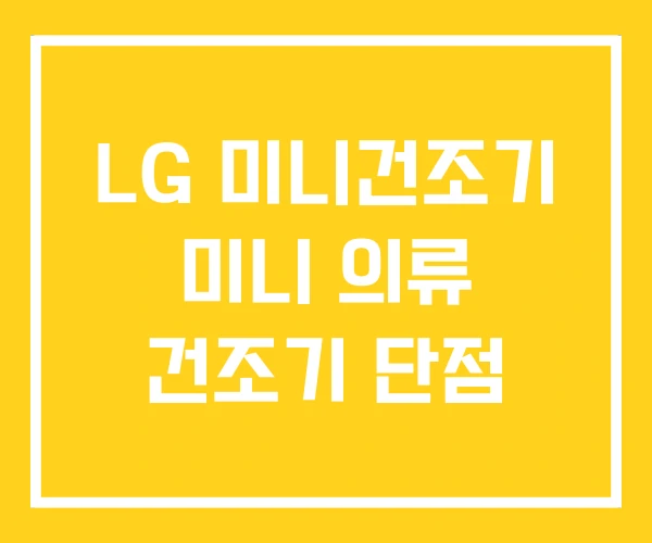 LG 미니건조기 미니 의류 건조기 단점 LG 미니건조기 미니 의류 건조기 단점