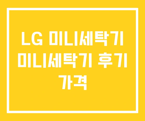 LG 미니세탁기 미니세탁기 후기 가격