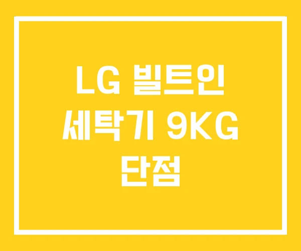 LG 빌트인 세탁기 9KG 단점
