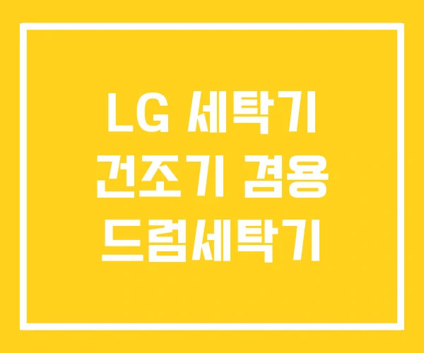 LG 세탁기 건조기 겸용 드럼세탁기