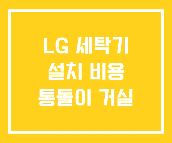 LG 세탁기 설치 비용 통돌이 거실