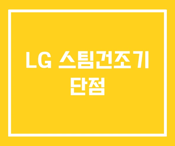 LG 스팀건조기 단점 LG 스팀건조기 단점