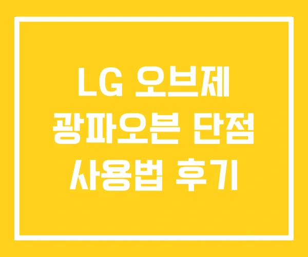 LG 오브제 광파오븐 단점 사용법 후기 LG 오브제 광파오븐 단점 사용법 후기