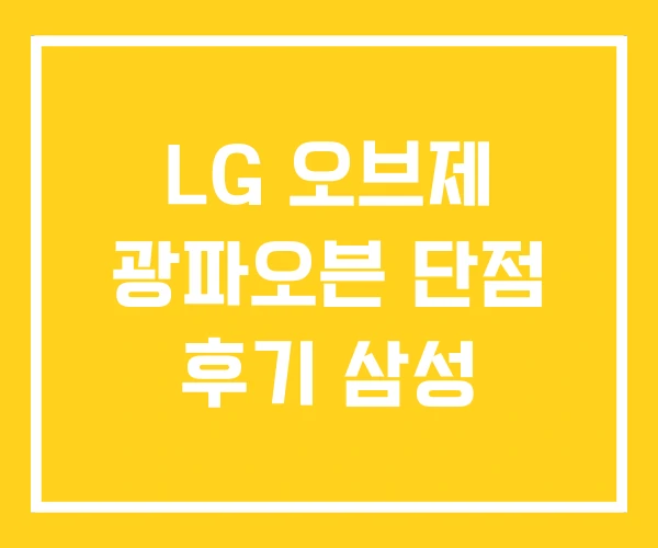 LG 오브제 광파오븐 단점 후기 삼성