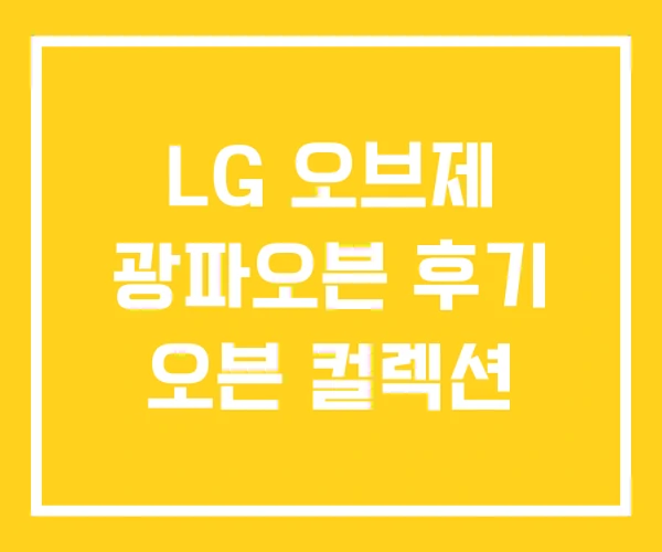 LG 오브제 광파오븐 후기 오븐 컬렉션 LG 오브제 광파오븐 후기 오븐 컬렉션