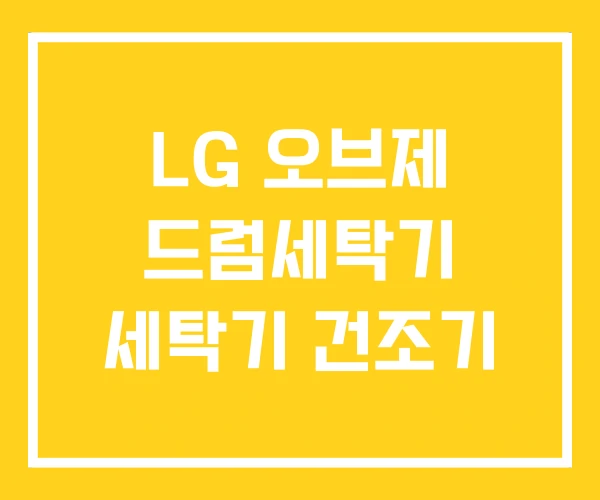 LG 오브제 드럼세탁기 세탁기 건조기