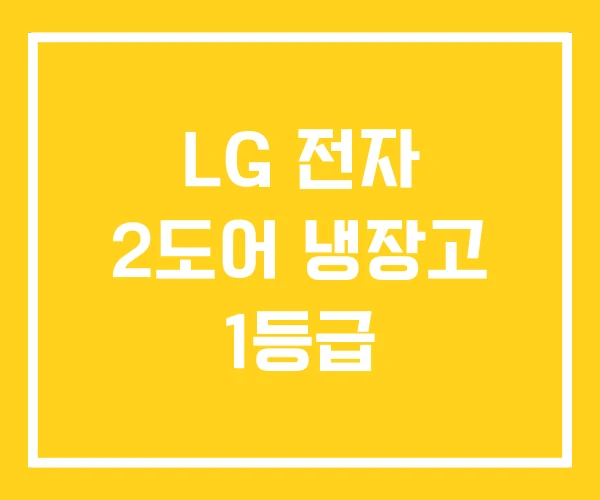 LG 전자 2도어 냉장고 1등급