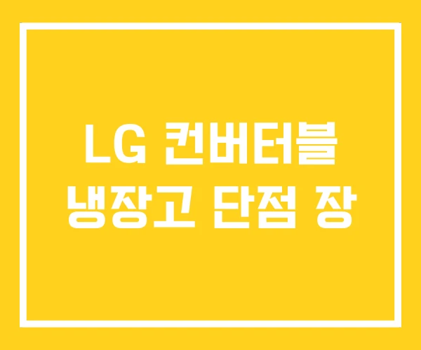 LG 컨버터블 냉장고 단점 장