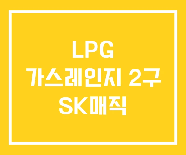 LPG 가스레인지 2구 SK매직