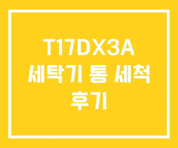 T17DX3A 세탁기 통 세척 후기