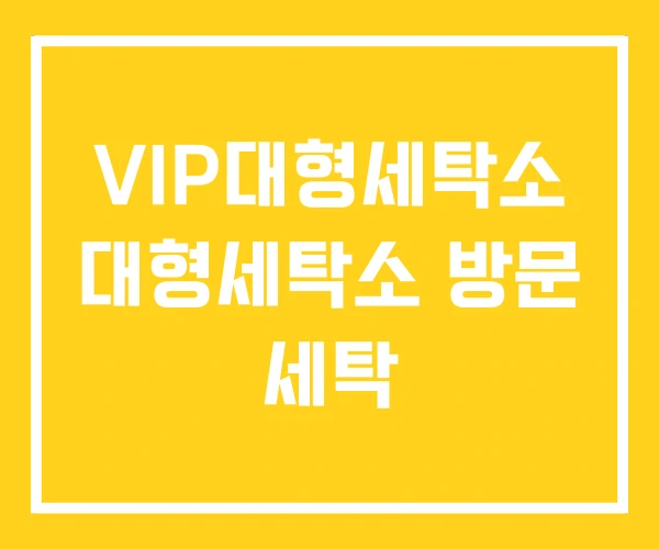 VIP대형세탁소 대형세탁소 방문 세탁