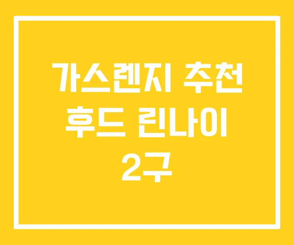 가스렌지 추천 후드 린나이 2구 가스렌지 추천 후드 린나이 2구