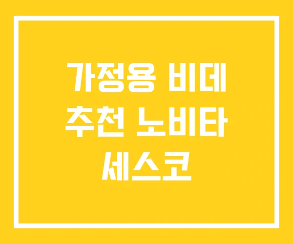 가정용 비데 추천 노비타 세스코