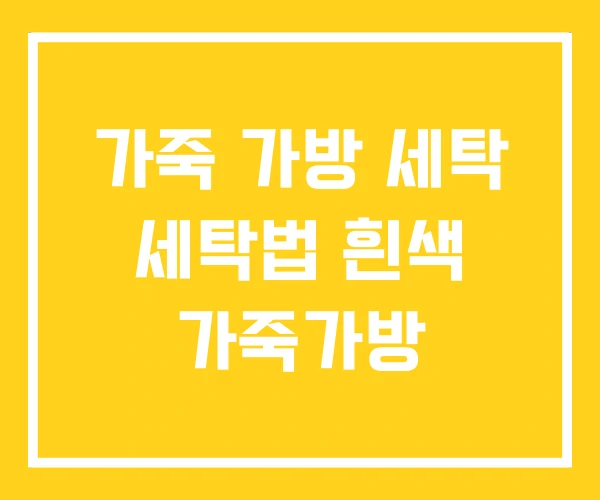 가죽 가방 세탁 세탁법 흰색 가죽가방