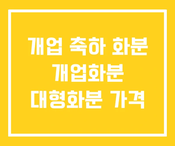 개업 축하 화분 개업화분 대형화분 가격