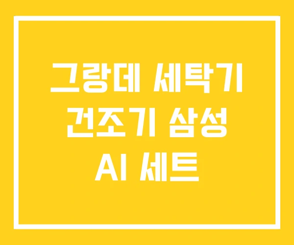 그랑데 세탁기 건조기 삼성 AI 세트 그랑데 세탁기 건조기 삼성 AI 세트