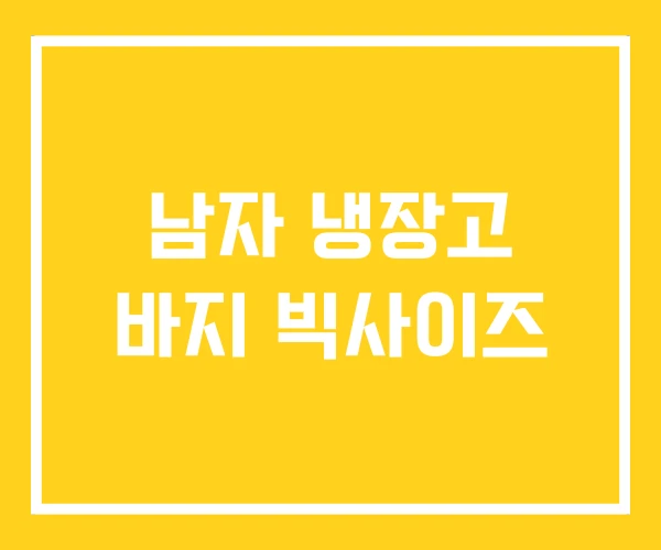 남자 냉장고 바지 빅사이즈