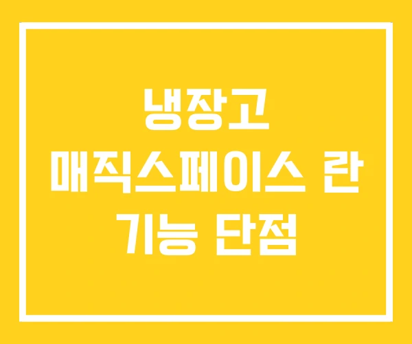 냉장고 매직스페이스 란 기능 단점 냉장고 매직스페이스 란 기능 단점