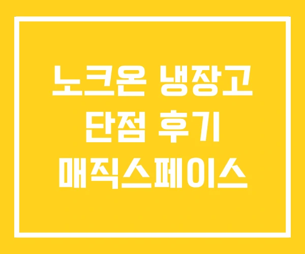 노크온 냉장고 단점 후기 매직스페이스