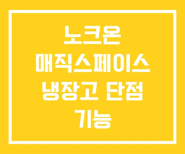 노크온 매직스페이스 냉장고 단점 기능