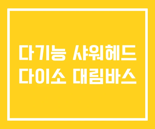 다기능 샤워헤드 다이소 대림바스