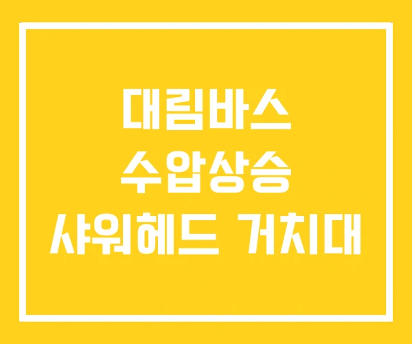 대림바스 수압상승 샤워헤드 거치대