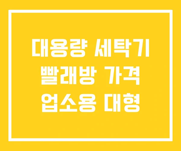 대용량 세탁기 빨래방 가격 업소용 대형