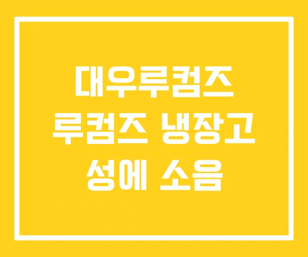 대우루컴즈 루컴즈 냉장고 성에 소음 대우루컴즈 루컴즈 냉장고 성에 소음