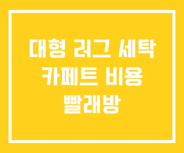 대형 러그 세탁 카페트 비용 빨래방